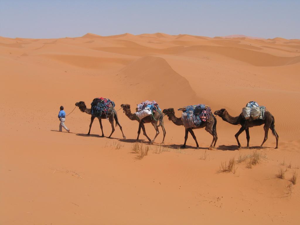 فندق Camel Trek Bivouac مرزوكة الغرفة الصورة